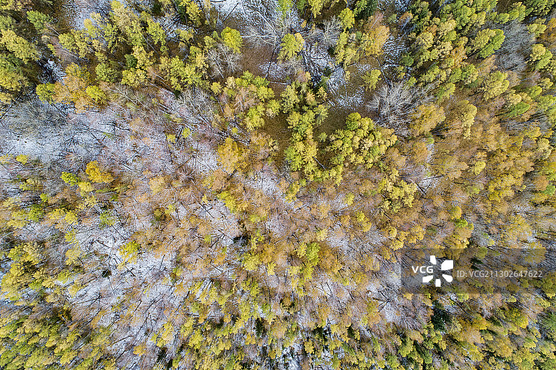 航拍新疆阿勒泰地区哈巴河秋色图片素材
