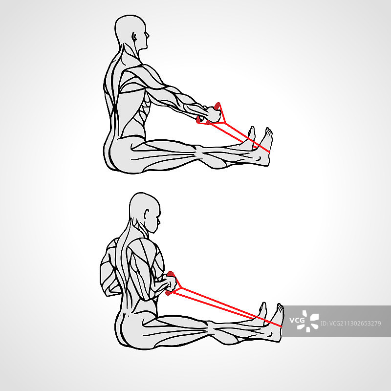 使用弹力带进行背部划船运动图片素材