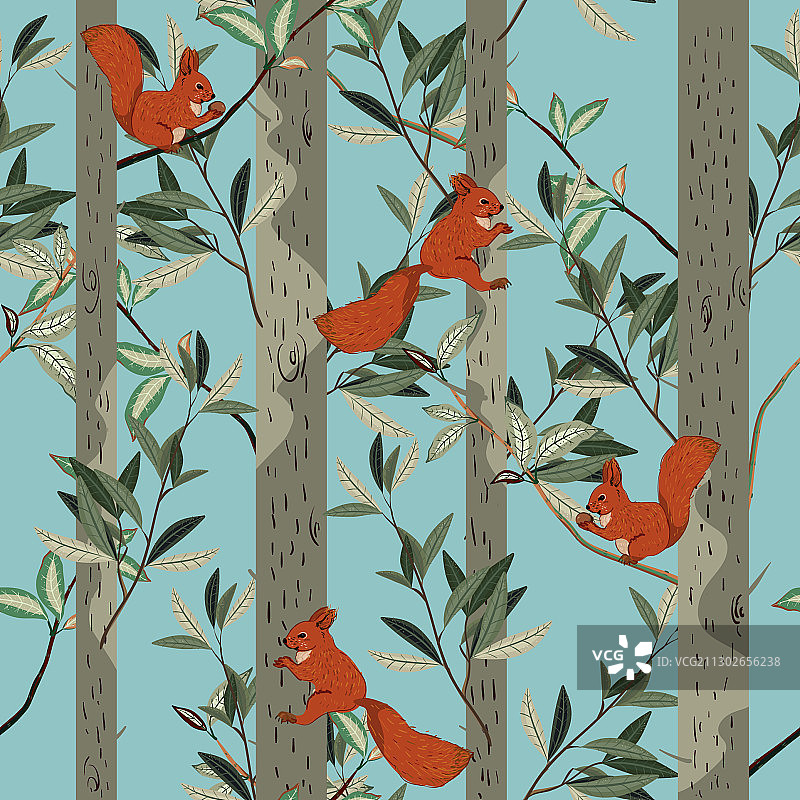 红松鼠、树干和树枝森林树木图片素材