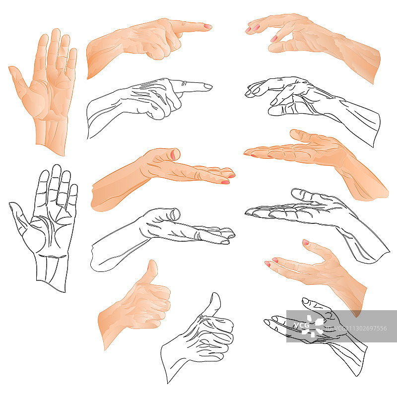 手绘和轮廓水彩素材图片素材