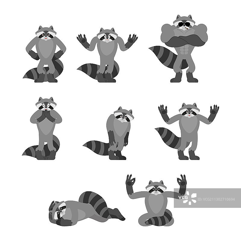浣熊瑜伽姿势图片素材