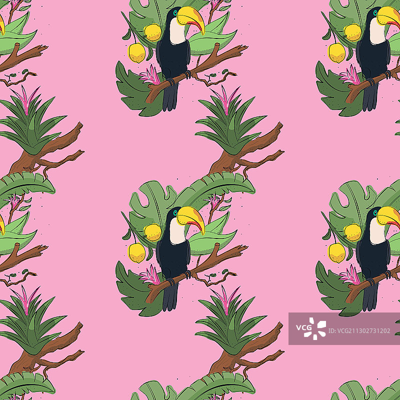 热带鸟类无缝背景图案：巨嘴鸟图片素材