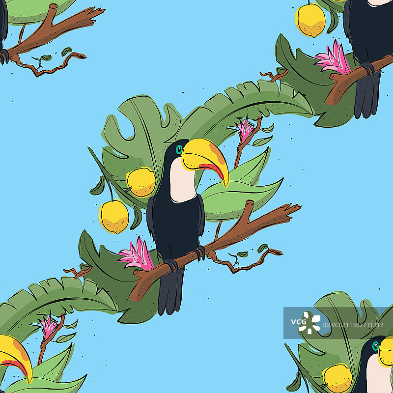 热带鸟类无缝背景图案：巨嘴鸟图片素材