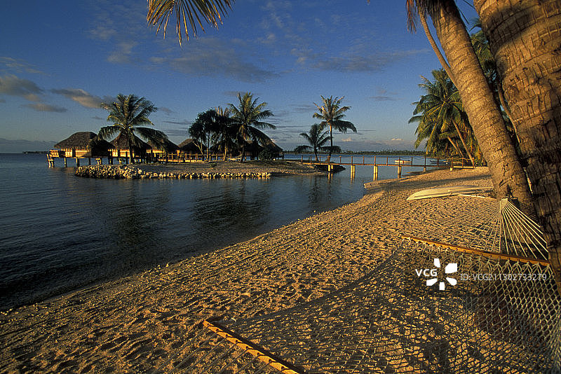 夕阳下的棕榈树和水上小屋之间的吊床，法属波利尼西亚马尼希珍珠海滩度假村图片素材