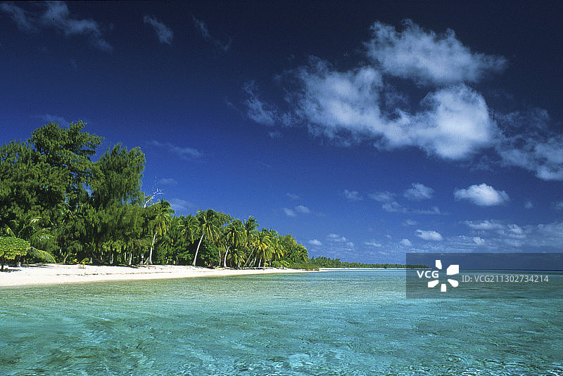 南太平洋法属波利尼西亚兰吉罗瓦环礁上的棕榈树图片素材