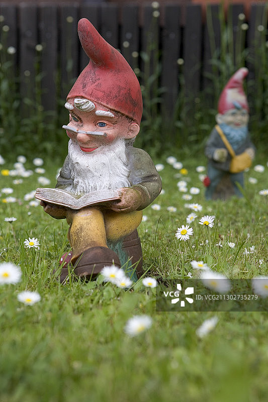 阅读花园侏儒，德国黑森州布尔豪恩图片素材