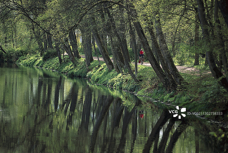 骑自行车者沿着德国巴登-符腾堡州多瑙埃兴根的多瑙河骑行图片素材
