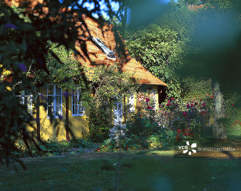 花团锦簇的半木结构房屋，位于丹麦博恩霍尔姆岛斯瓦内克图片素材