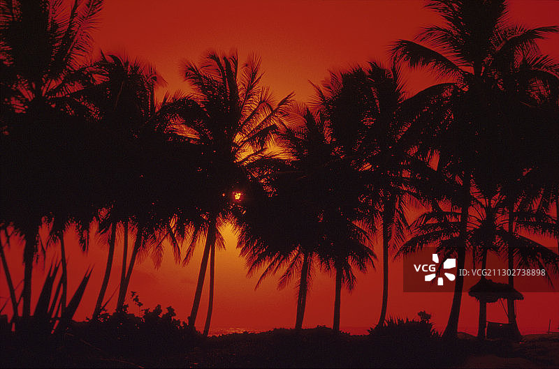 卡巴雷特棕榈海滩日落景色图片素材