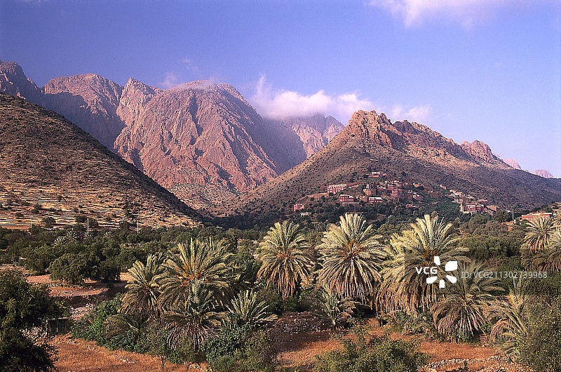 摩洛哥塔夫劳特棕榈树山景图片素材