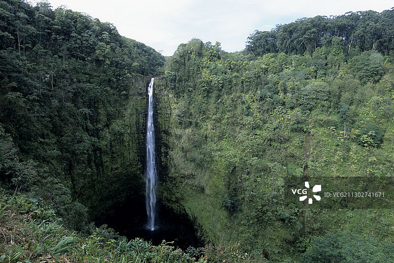 美国夏威夷大岛希洛的阿卡卡瀑布州立公园图片素材