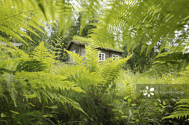 迈豪根露天博物馆的老农舍，位于挪威奥普兰郡利勒哈默尔图片素材