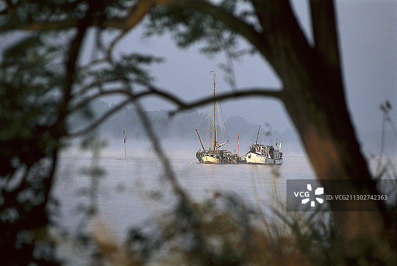 德国黑森州莱茵高地区埃尔特维勒洪泛区和莱茵河上的船只风光图片素材