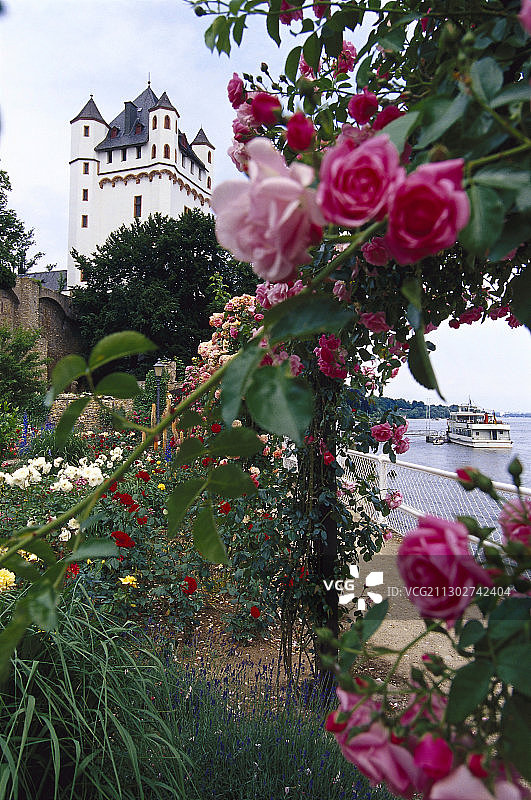 德国黑森州埃尔特维勒选帝侯城堡和玫瑰园景色图片素材