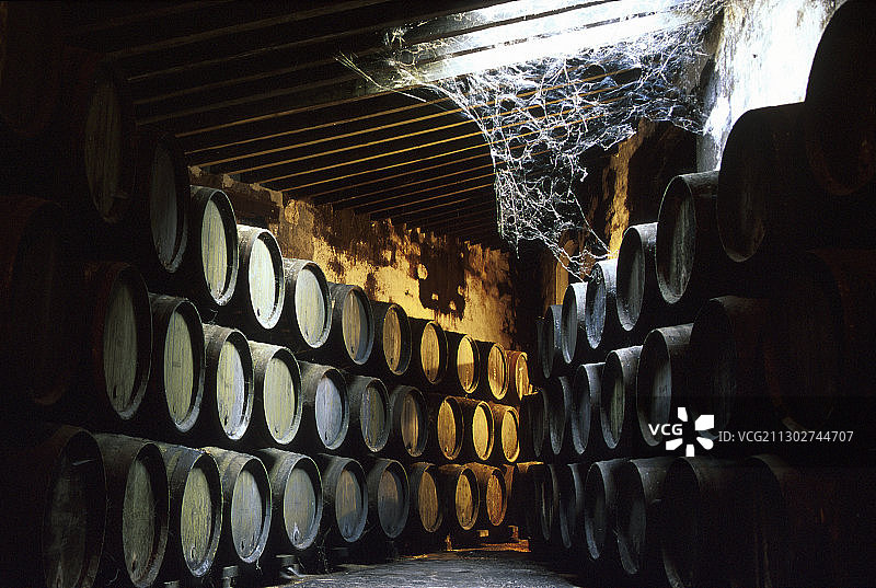 酒窖里的雪利酒桶，多梅克酒窖，赫雷斯-德拉弗龙特拉，加的斯省，安达卢西亚，西班牙，欧洲图片素材