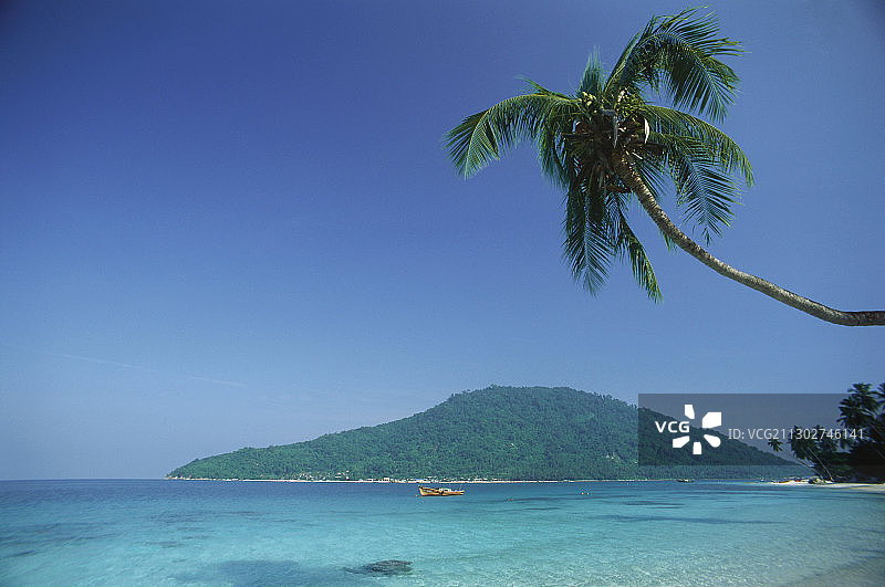马来西亚Pulau Perhentian岛阳光下的海滩棕榈树图片素材