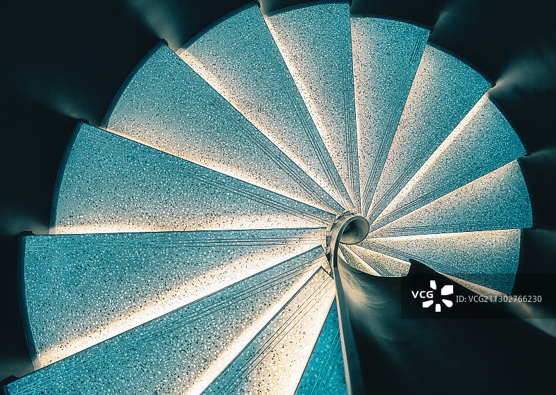 鹦鹉螺图片素材