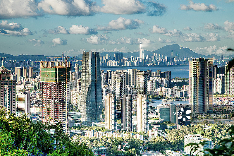 深圳蛇口建筑群图片素材