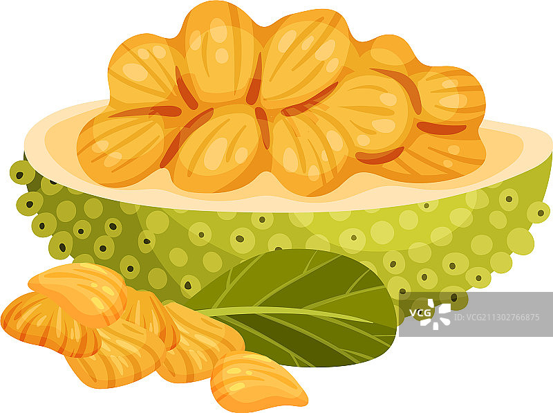 带有绿色种皮和切口的成熟菠萝蜜图片素材