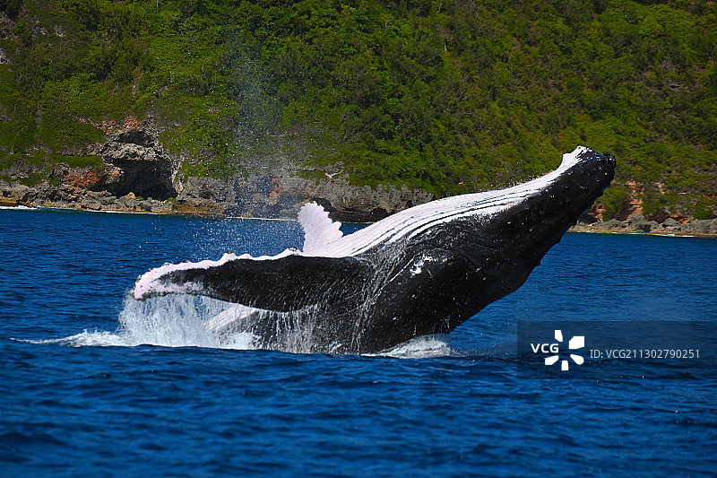 积极拥抱图片素材