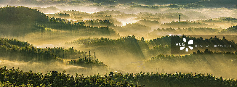 蜀南竹海自然风光之晨光普照+宜宾市长宁县图片素材