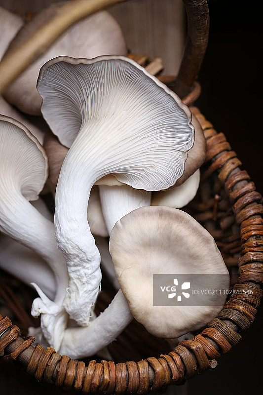 放在竹篮里的新鲜秀珍菇平菇图片素材