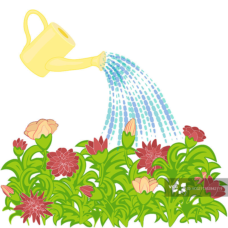 从浇水壶中倒出的花坛图片素材