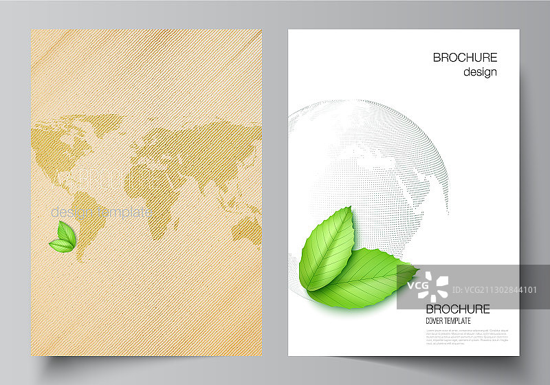 布局a4格式封面模型设计图片素材