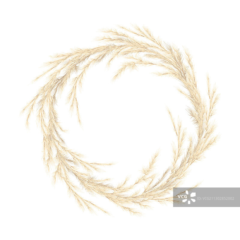 金色蒲苇草花环图片素材