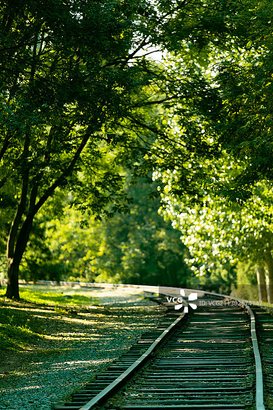绿色树林里的铁路图片素材
