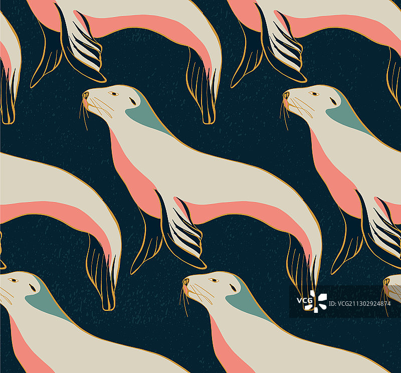 海洋野生海豹图案图片素材