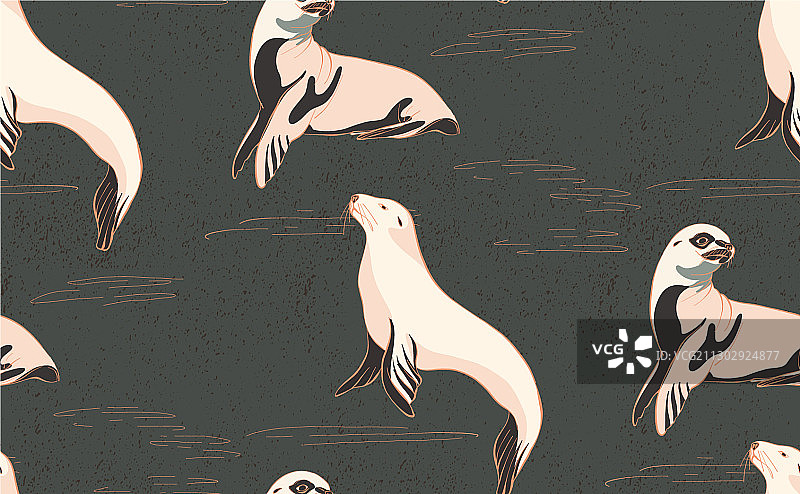 海豹海洋图案图片素材