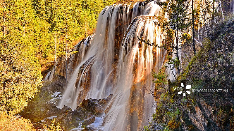 秋天彩林中的瀑布，世界自然遗产，九寨沟风景区，著名景点珍珠滩图片素材