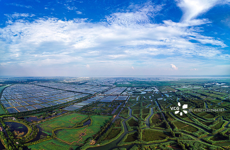 洪泽湖湿地芦苇迷宫图片素材