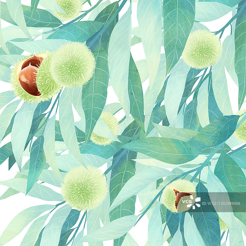 板栗树叶与板栗壳背景手绘插画图片素材