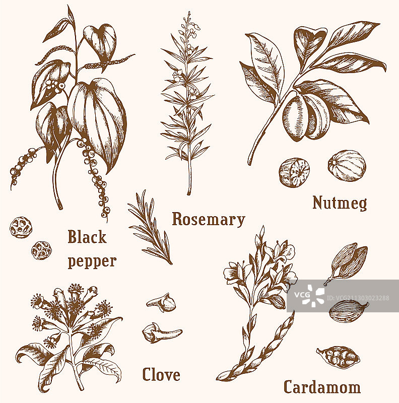 复古香料合集图片素材