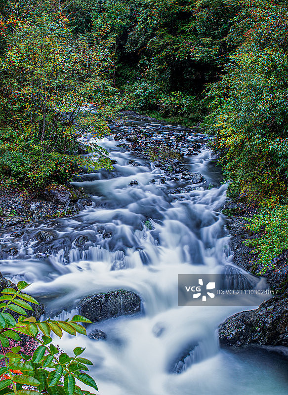 秋日小溪美如画图片素材