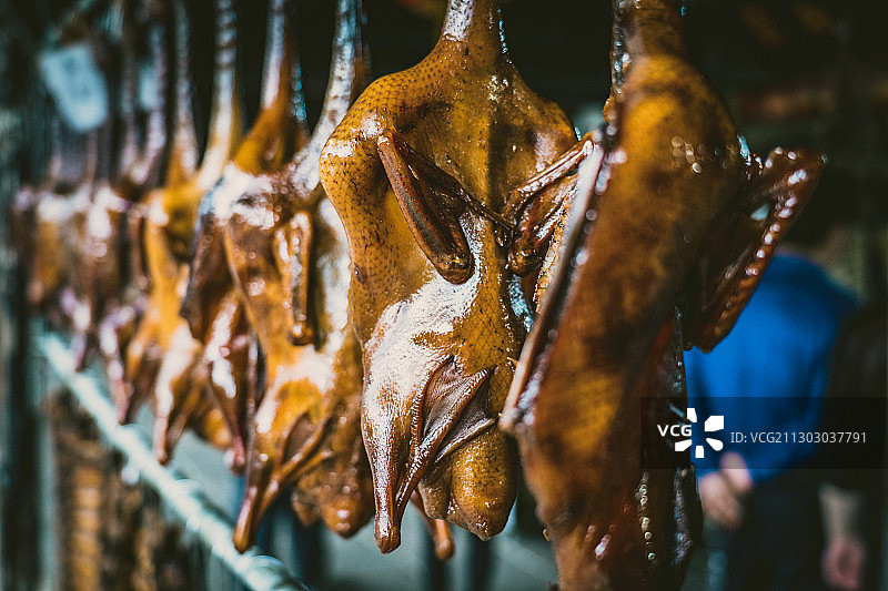 鄱阳湖&安昌古镇图片素材