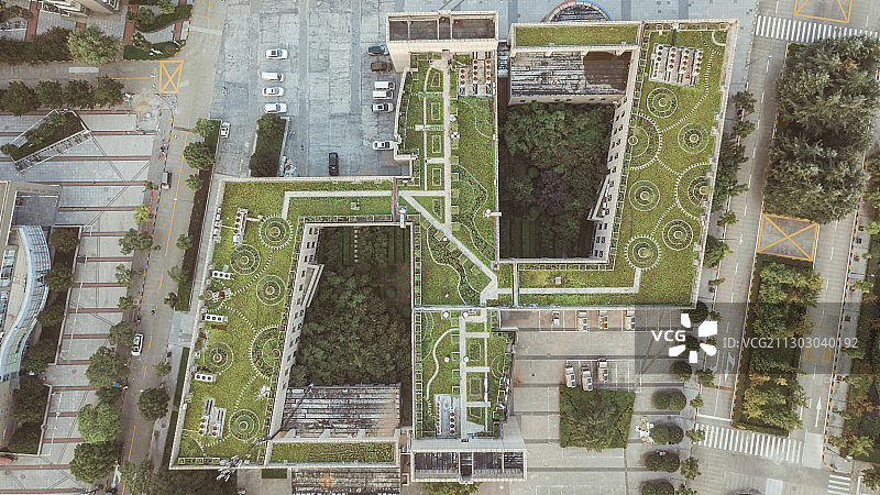 航拍学校楼顶植物图片素材