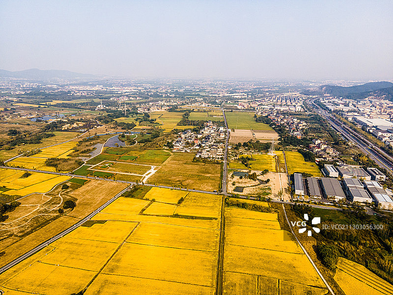 航拍杭州良渚古城遗址图片素材