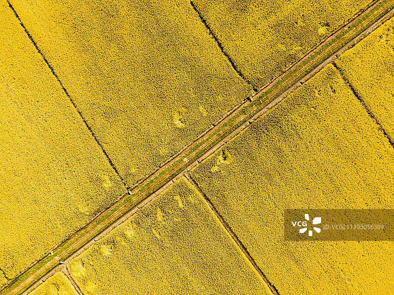 航拍杭州良渚古城遗址图片素材