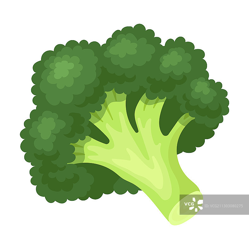 西兰花卡通图标图片素材