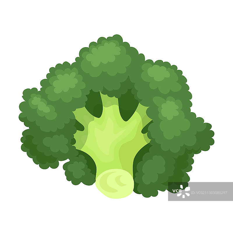 西兰花卡通图标图片素材