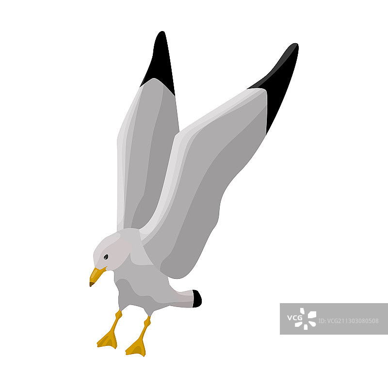 海鸥卡通图标图片素材