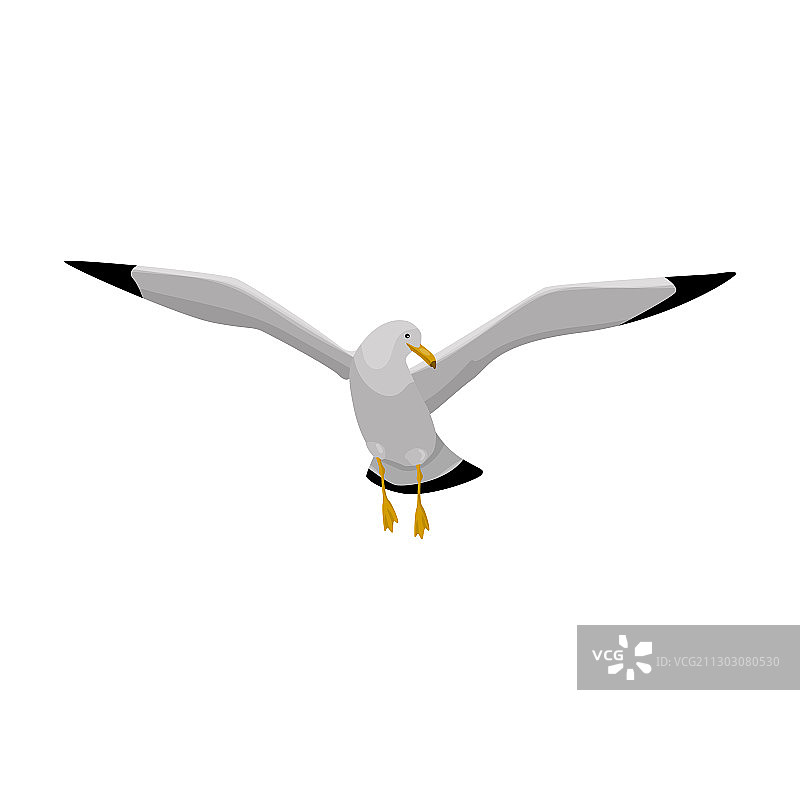 海鸥卡通图标图片素材