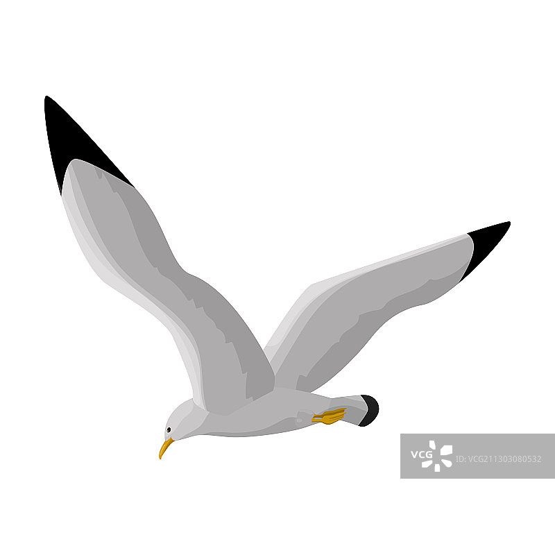 海鸥卡通图标图片素材