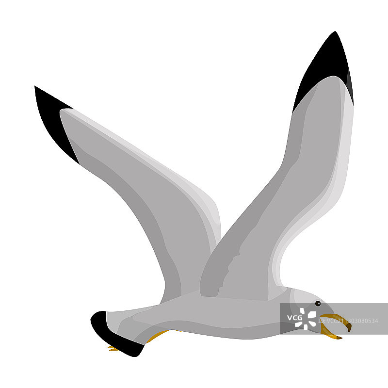 海鸥卡通图标图片素材