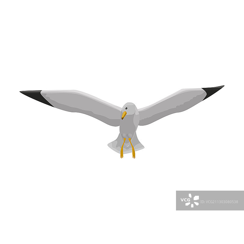 海鸥卡通图标图片素材