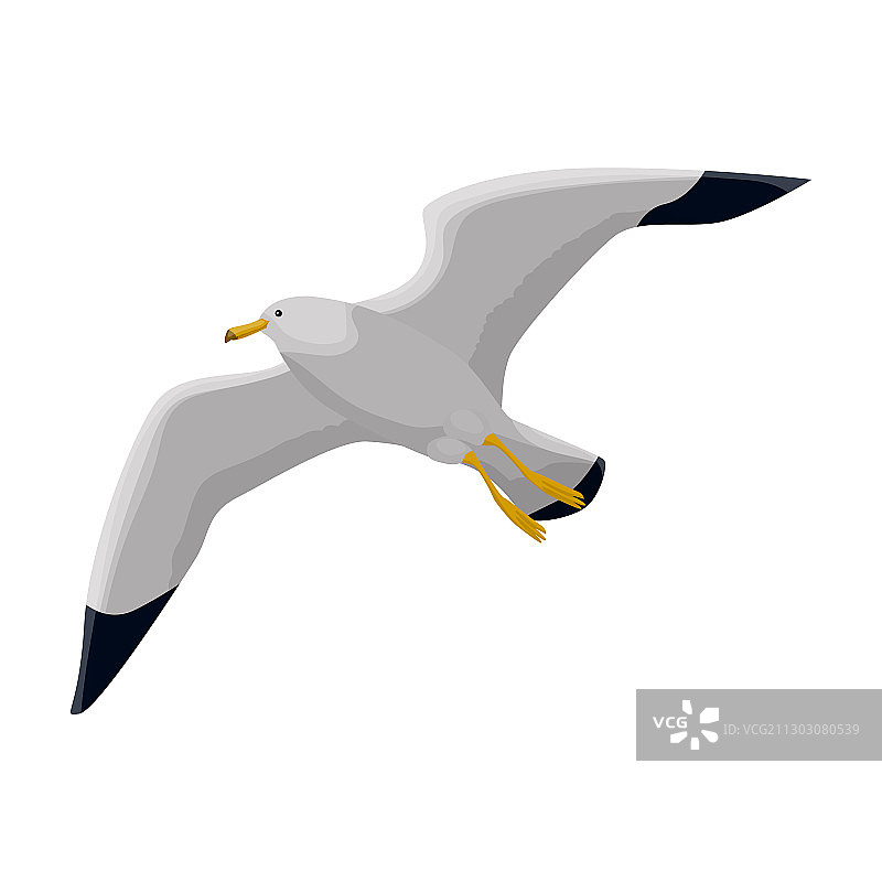 海鸥卡通图标图片素材