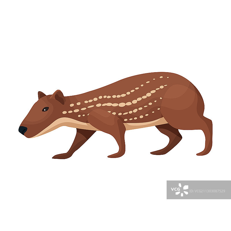 卡通南美栗鼠图标图片素材